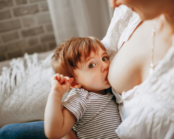 L'art de l'breastfeeding: l'ABCDaire complet
